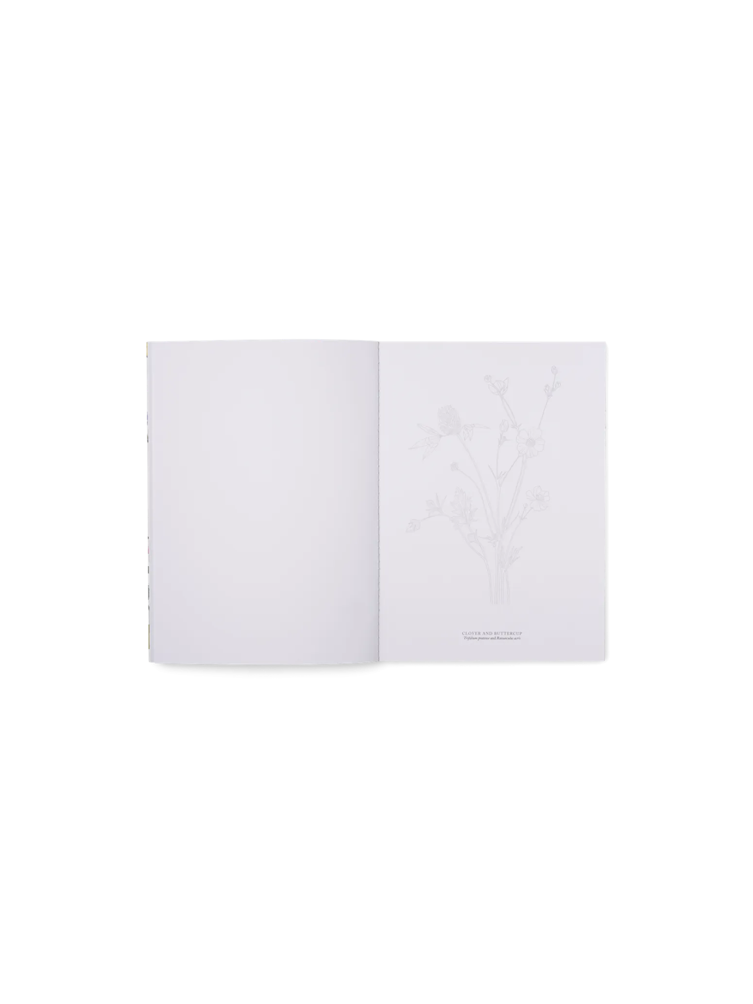 Søstrene Grene Schweiz Coffee Table Books<Wildflowers